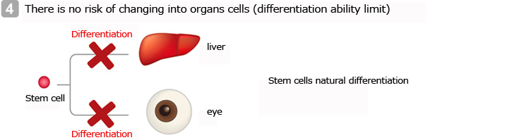 There is no risk of changing into organs cells (differentiation ability limit)